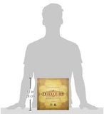 Trickerion: Legends of Illusion